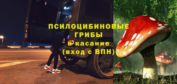 СК Алзамай