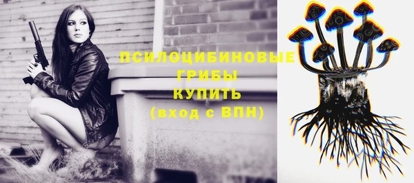 ECSTASY Алексин