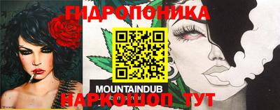 мет Кинель