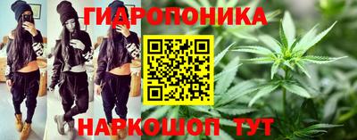 не бодяженный Кингисепп