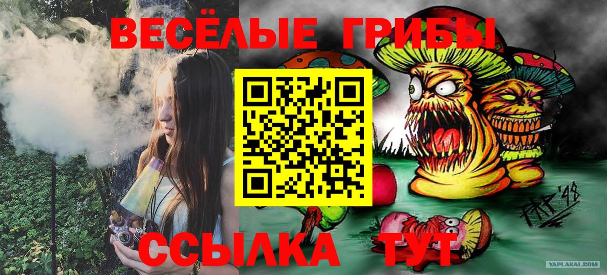 Галлюциногенные грибы Psilocybe Дзержинский