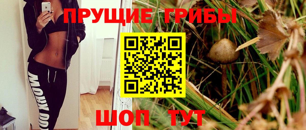 Дзержинский  сколько стоит  Вход с VPN  Галлюциногенные грибы GOLDEN TEACHER 